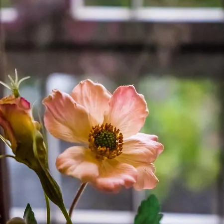 Casale Dei Massimi Hotel 2*